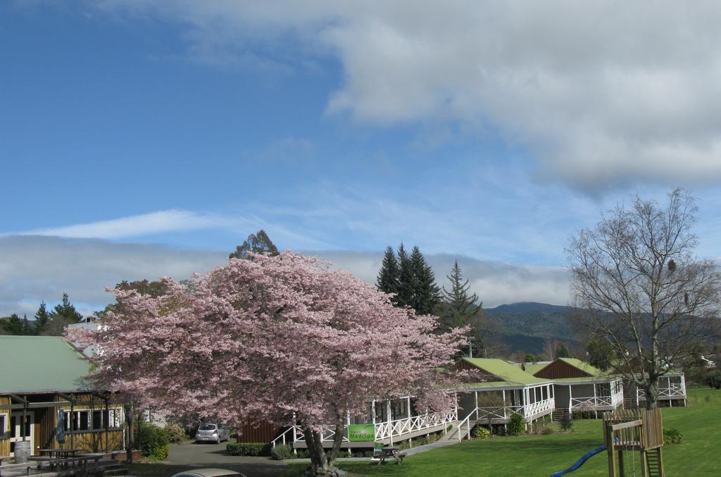 Turangi Bridge Motel Bagian luar foto